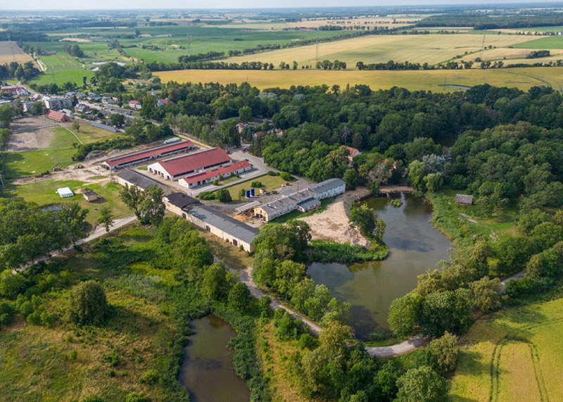 Gospodarstwo Glesno